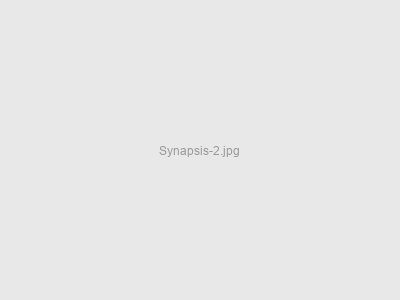 Synapsis 2