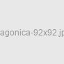 Dragonica