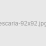 Escaria