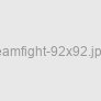 TeamFight